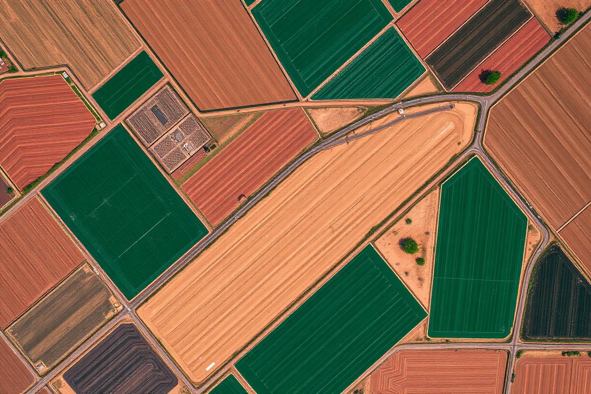 Aerial view of East African agricultural fields